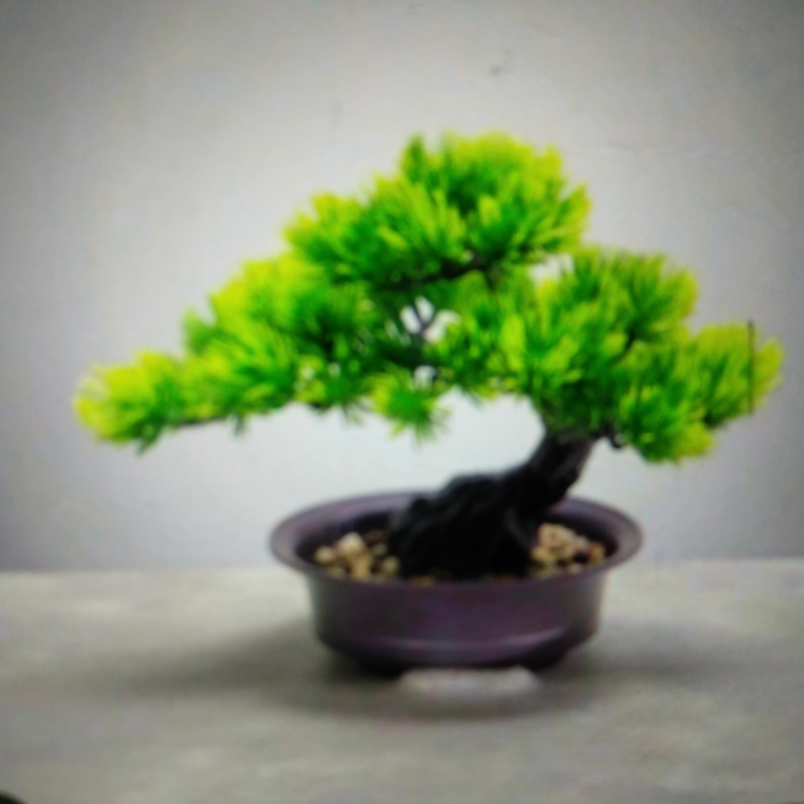Artificial greenery inspired by the traditional Japanese craft, “bonsai.”pine