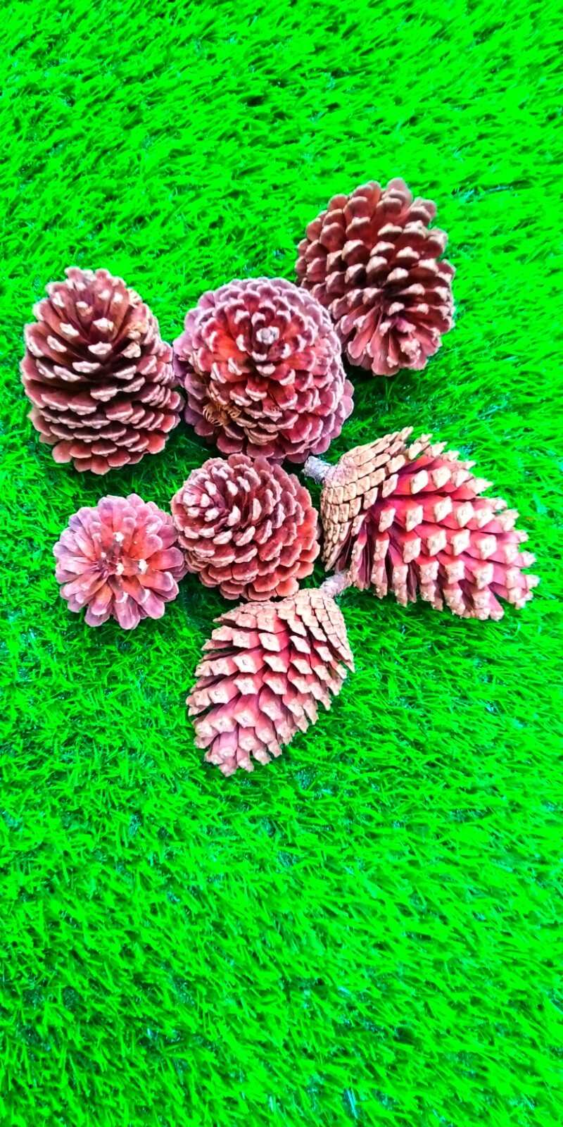 10 Pcs pine cones natural 100% dried flowers wedding decors christmas garland