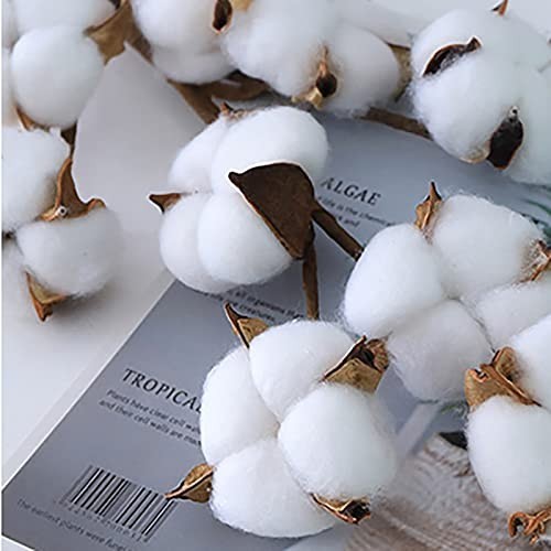 5 Pack Cotton Stems – 50pcs Cotton Flower Bolls, 20″ Natural Floral Branches for