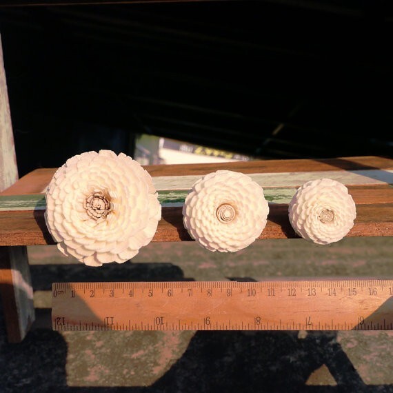 30 Zinnia Sola Wood Diffuser Flowers 4 cm Dia. for Decorate Craft