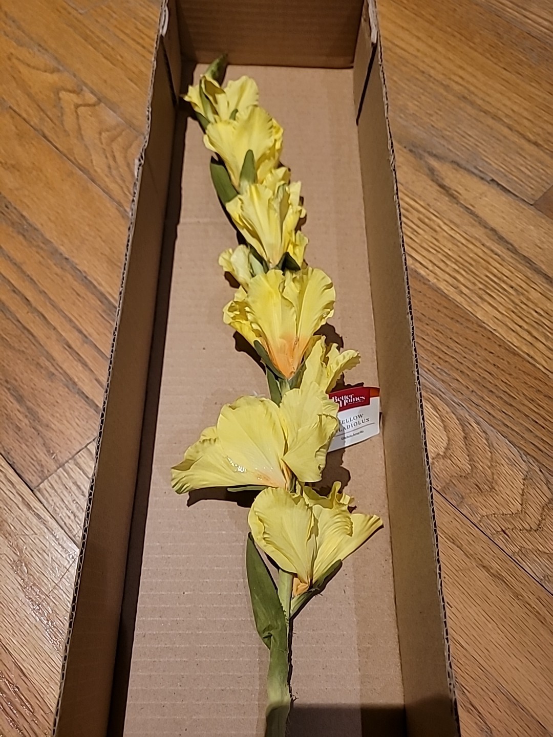 15 Pk Artificial Yellow Gladiolus Flowers Stem approx 36 inch L By Better Homes