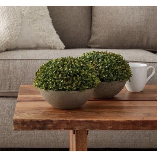 Pure Garden Faux Boxwood Topiary Set of 2 Indoor Artificial Plants in Stone Bowl