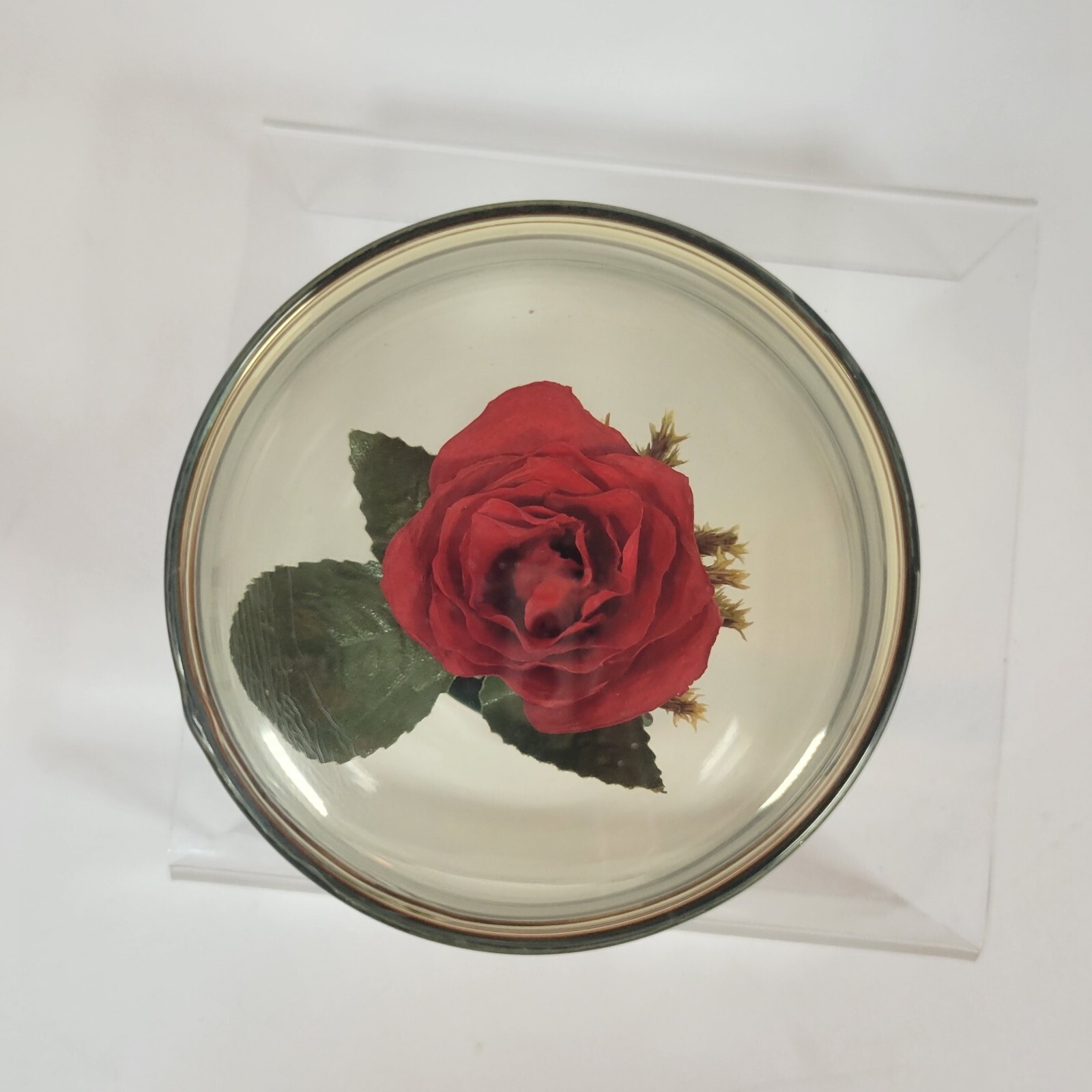 Valentine’s Day Preserved Roses Red Roses Preserved Flower Rose Gift in Glass