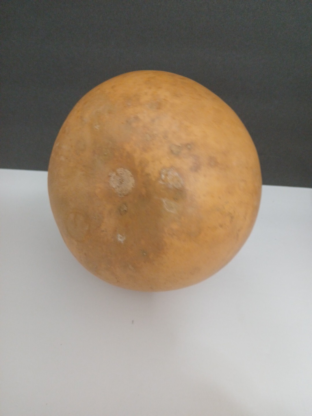 Organic Natural Calabash With Seeds Decorative Pieces 2