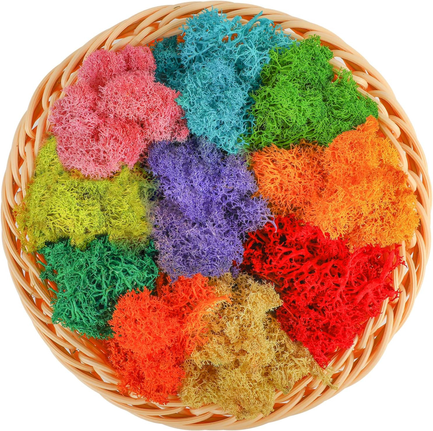 7 Oz Mixed Color Reindeer Lichen, 10 Colors 0.7 Oz Each Preserved Nordic Dried F