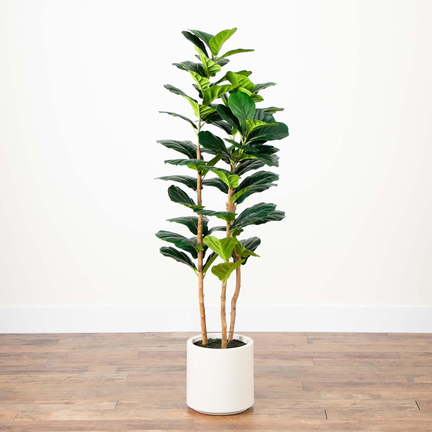 5Ft Artificial Fiddle Leaf Tree in Elegant White Planter –