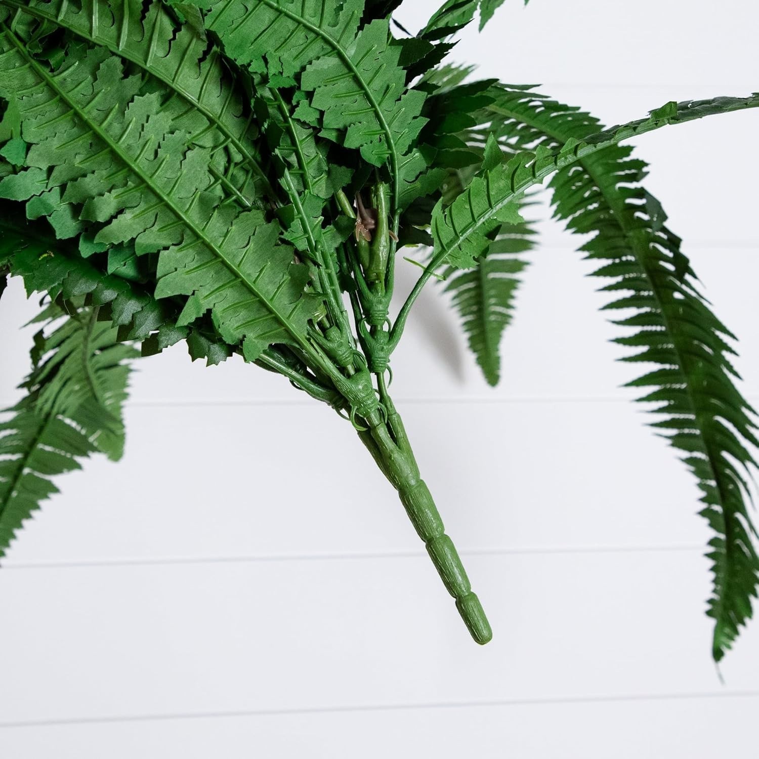 Maintenance-Free Greenery for Office Decor