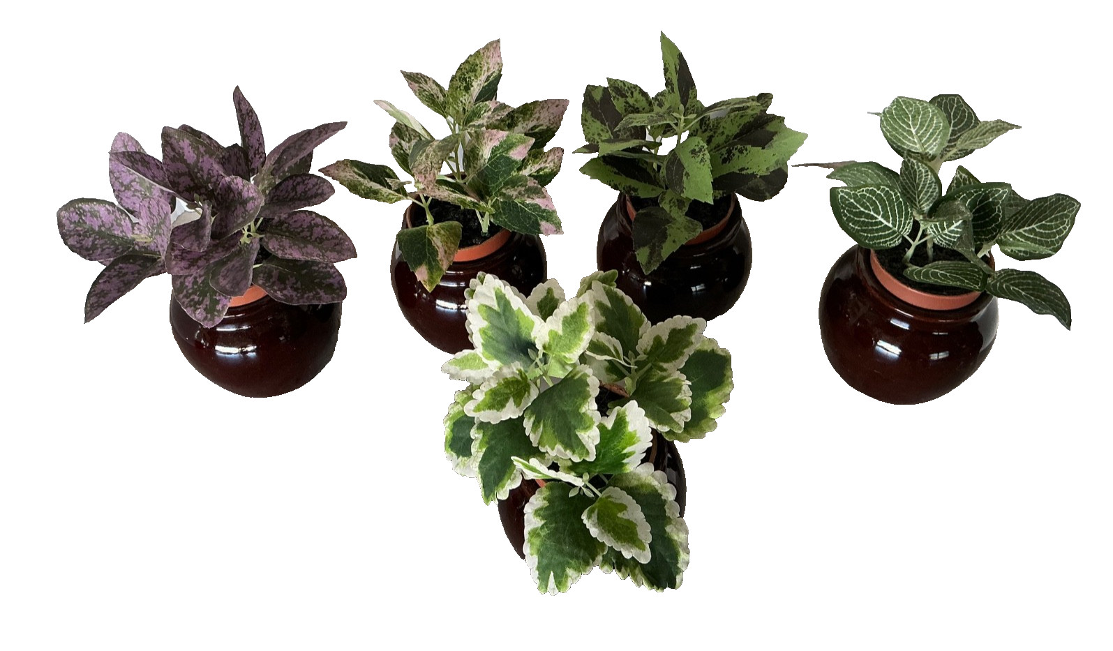 Spring Summer Floral Coleus Variety Silk Plants with Brown Crock Pots Garden