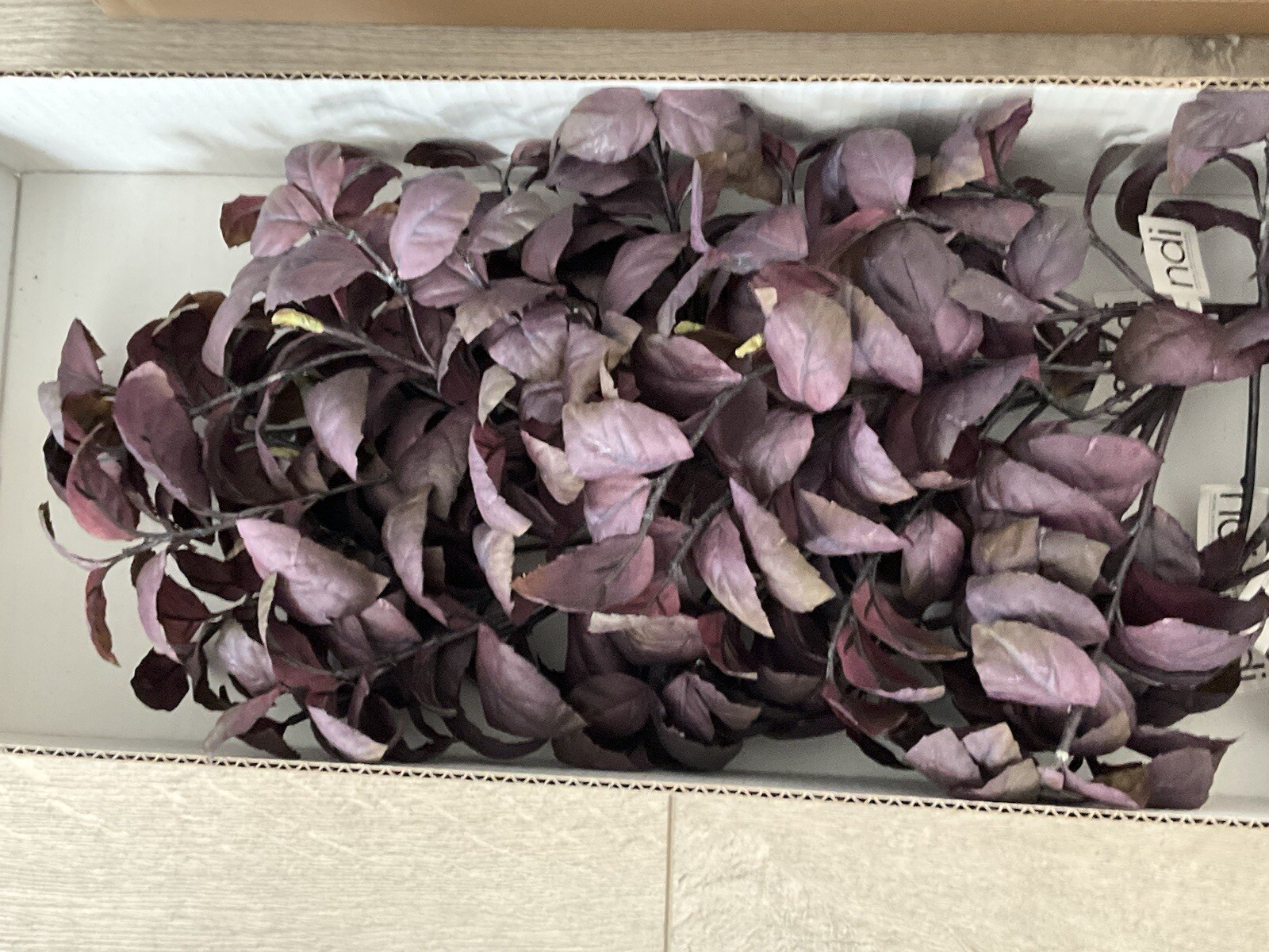 ndi “Herb Basil” Lot Of 12 Burgundy Colored 14” Floral Picks. Orig. $155. NEW.