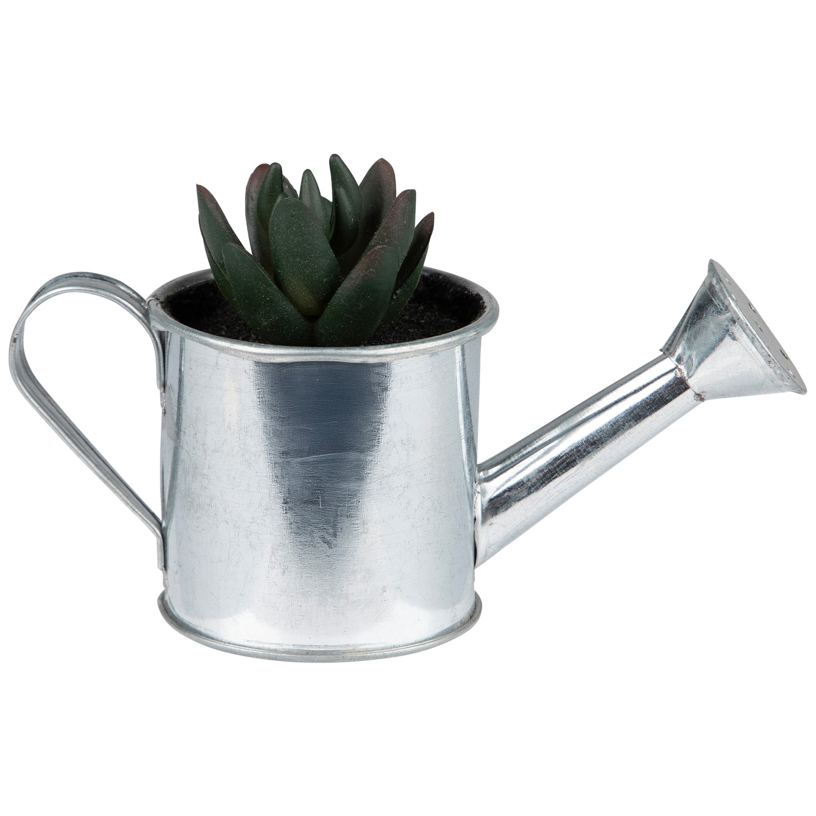 Northlight 4� Tropical Green Mini Artificial Pachyveria Succulent Tin Water Can