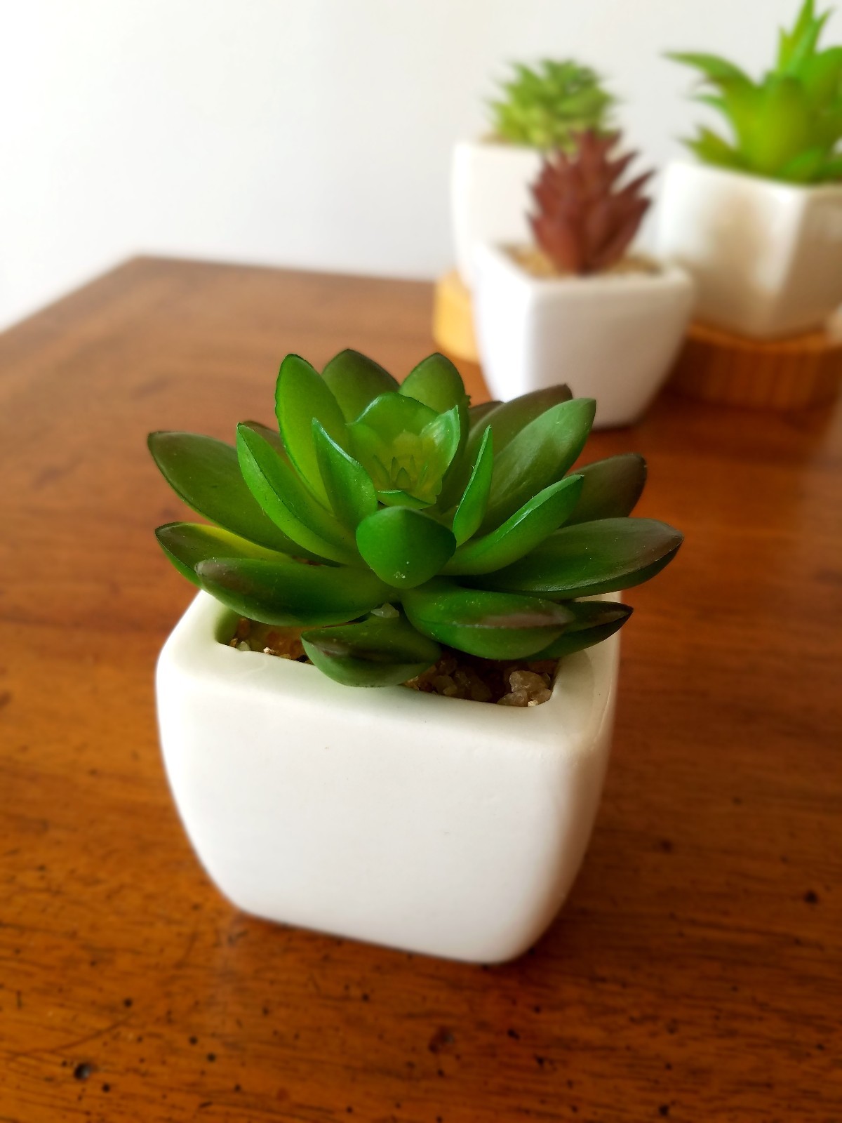 Party Favor Artificial Succulent Set in White Ceramic Pot Mini Plant Home Decor