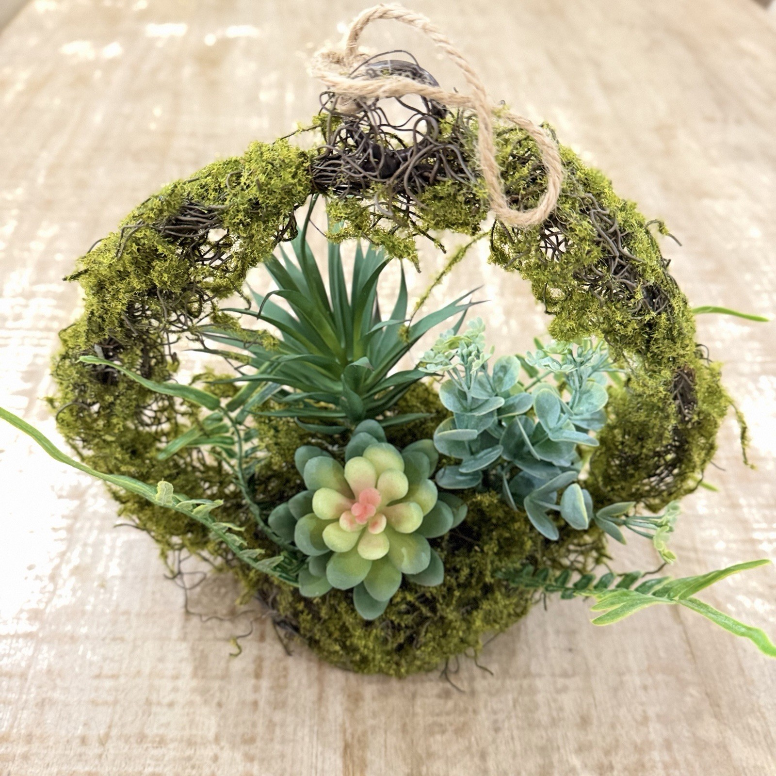 Artificial Succulent & Moss Hanging Wall Wreath Arrangement, Green Plastic 6×6″
