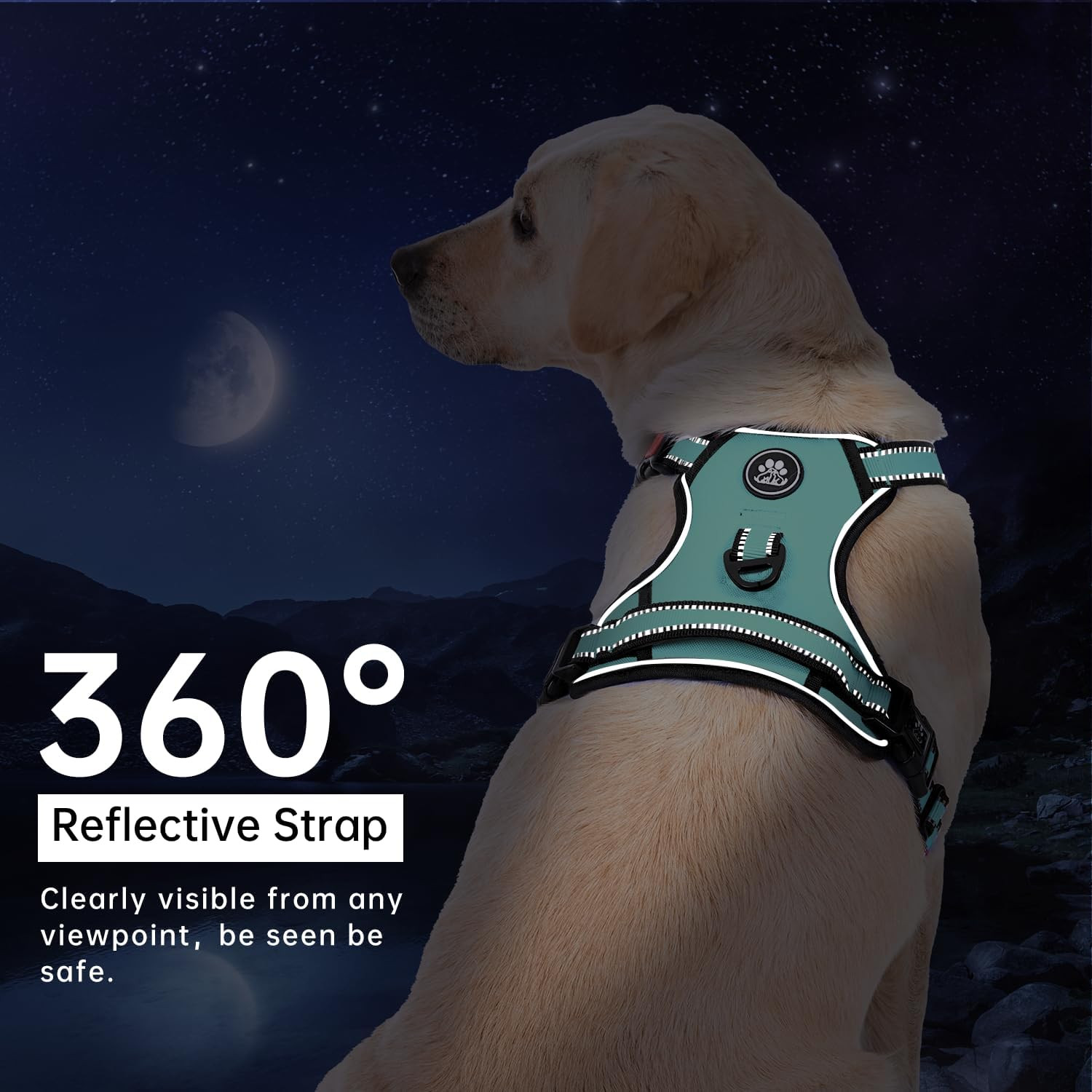 No Pull Dog Harness with Leash Set, Reflective No Choke Pet Vest,Adjustable Oxfo