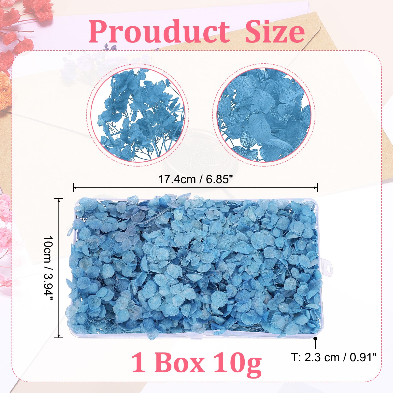 10g Mini Dried Hydrangea Flower Natural Pressed Flower Real Hydrangeas Blue
