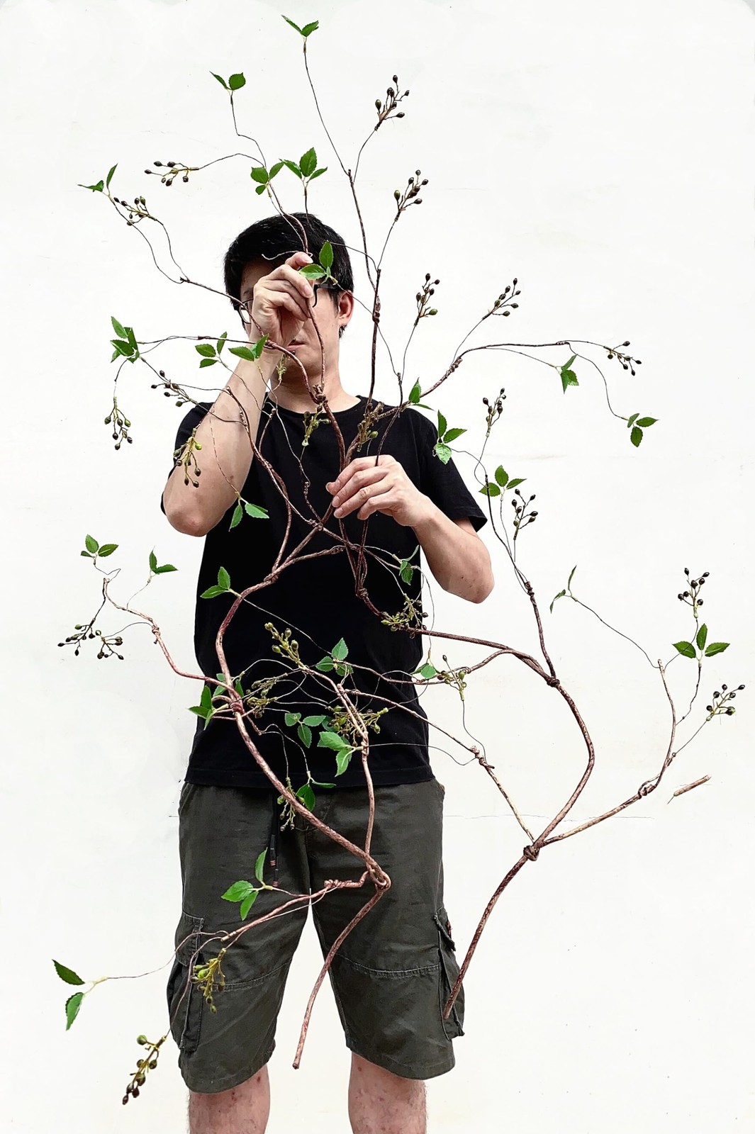 Curly Willow Branches Artificial Tree Vines with Fruits and Leaves Flexible P…