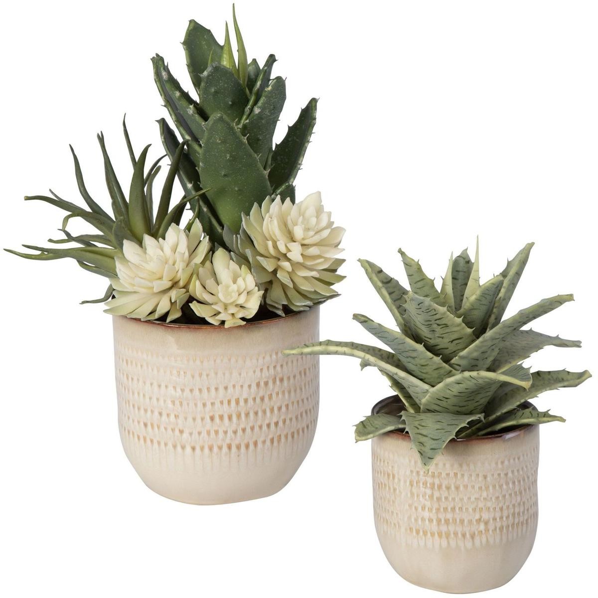 Uttermost 60208 Seaside Succulents Artificial Flower or Plant