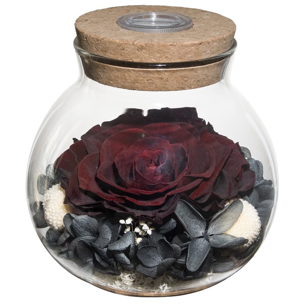 Preserved Real Roses with Colorful Mood Light Wishing Bottle,Eternal Rose，Nev…