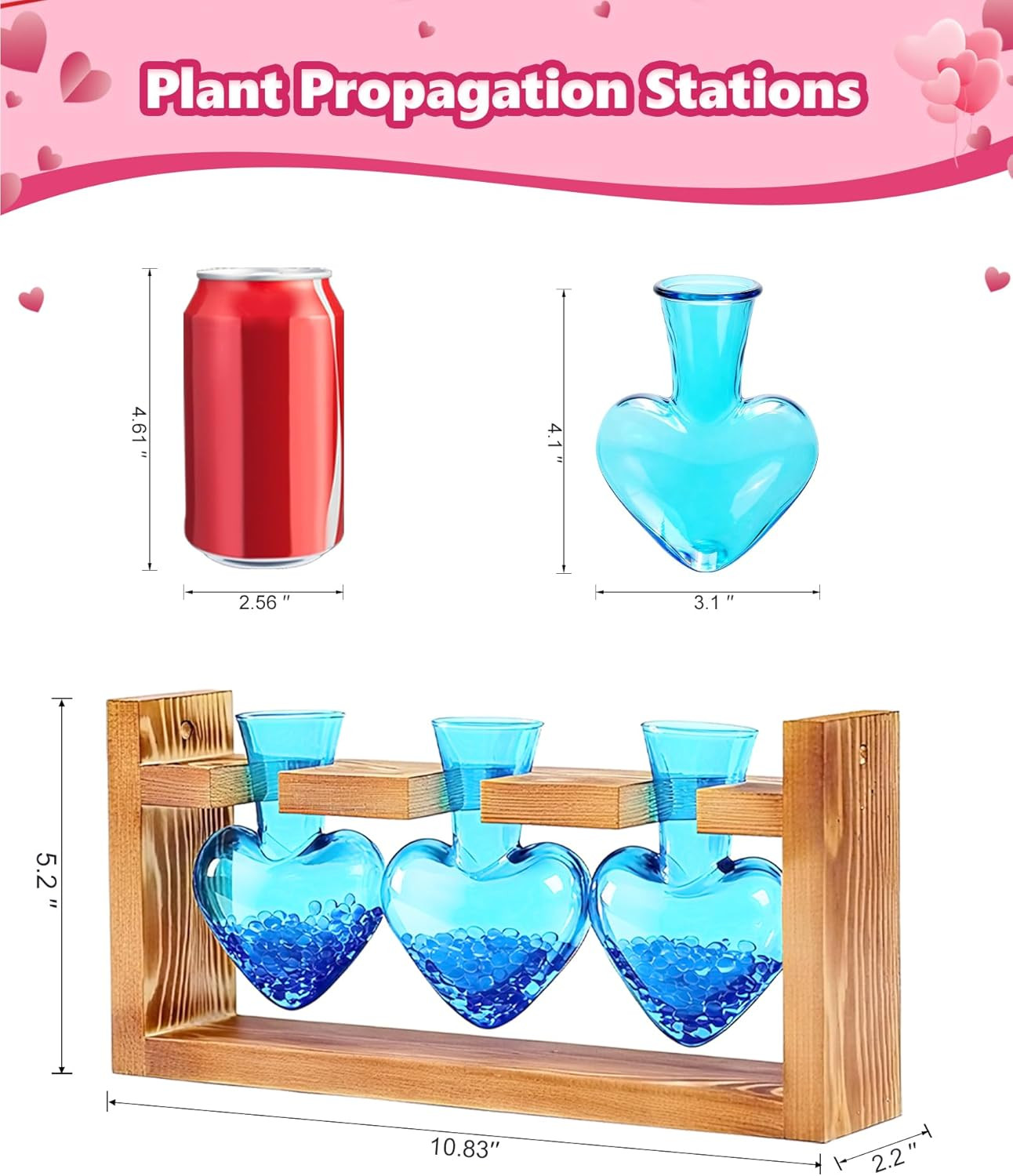 Plant Terrarium Propagation Stations: Valentines Day Gifts for Her Plant Lovers