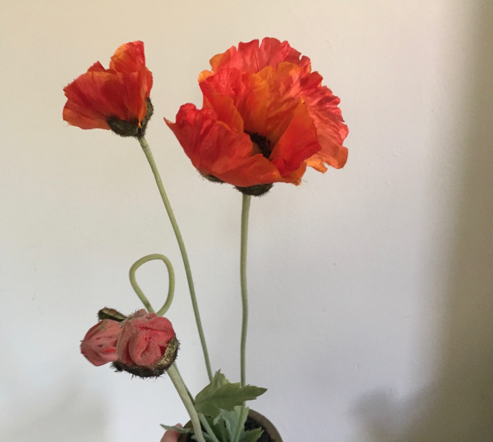 Vintage Fabric Flower or Artificial Plant in Terra Cotta Pot Red Poppy