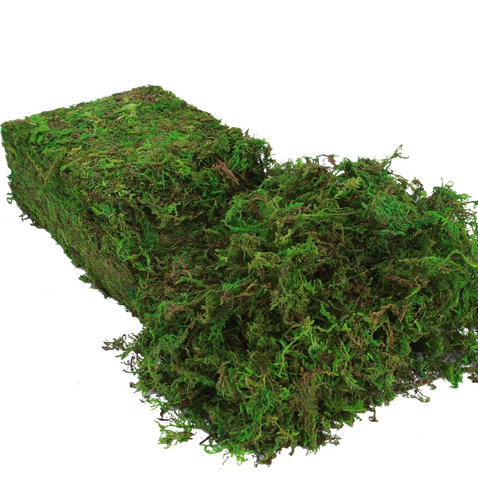 Artificial Green Moss for Indoor Plants & Crafts, 16oz Faux Moss for Fairy Garde