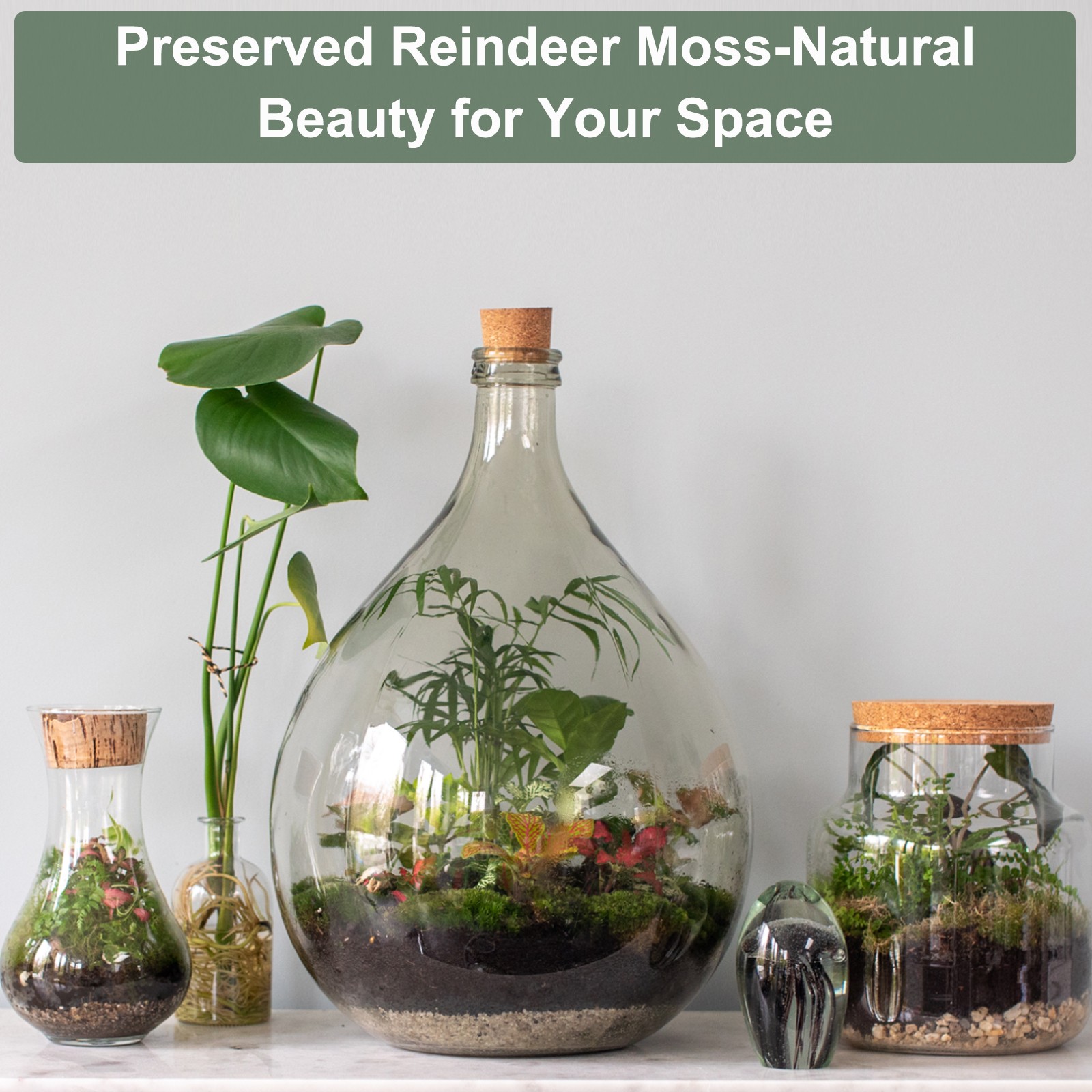 11.3oz Preserved Reindeer Moss, Teal Green Decorative Artificial Fake Moss