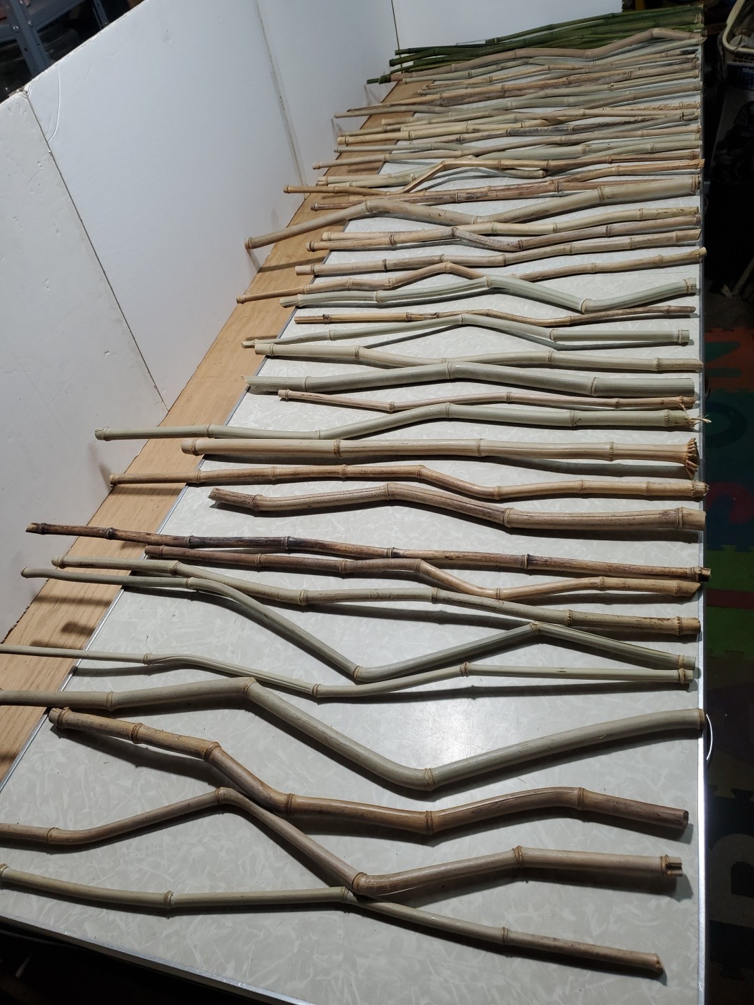 50 Decorative Grown & Processed in USA Crooked Stem/YellowG Bamboo 20-32″ Pieces