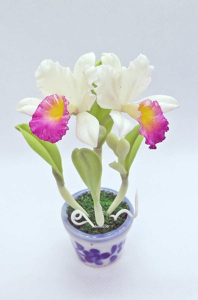 US Stock 4″H Handmade Miniature Air-Dry-Clay-Crafted Catalunya Orchid Arranged.