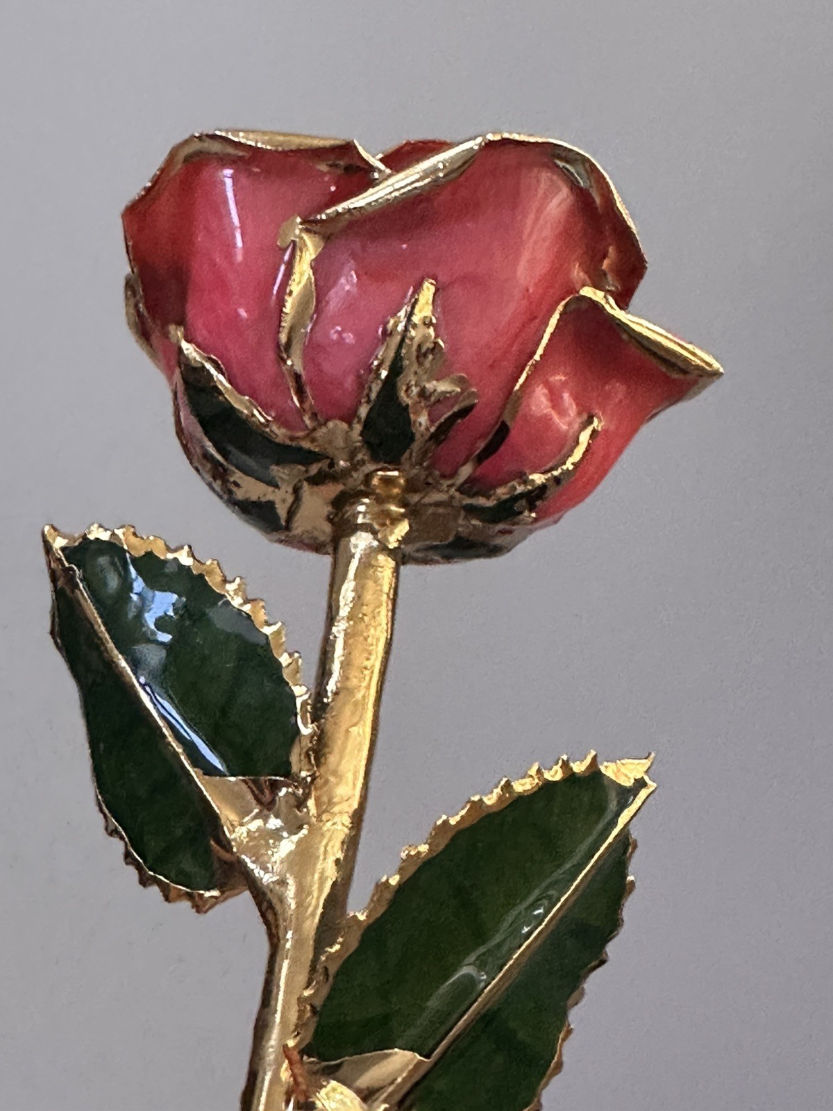 Steven Singer Jewelers – Real Rose – Preserved in 24k Gold – Pink