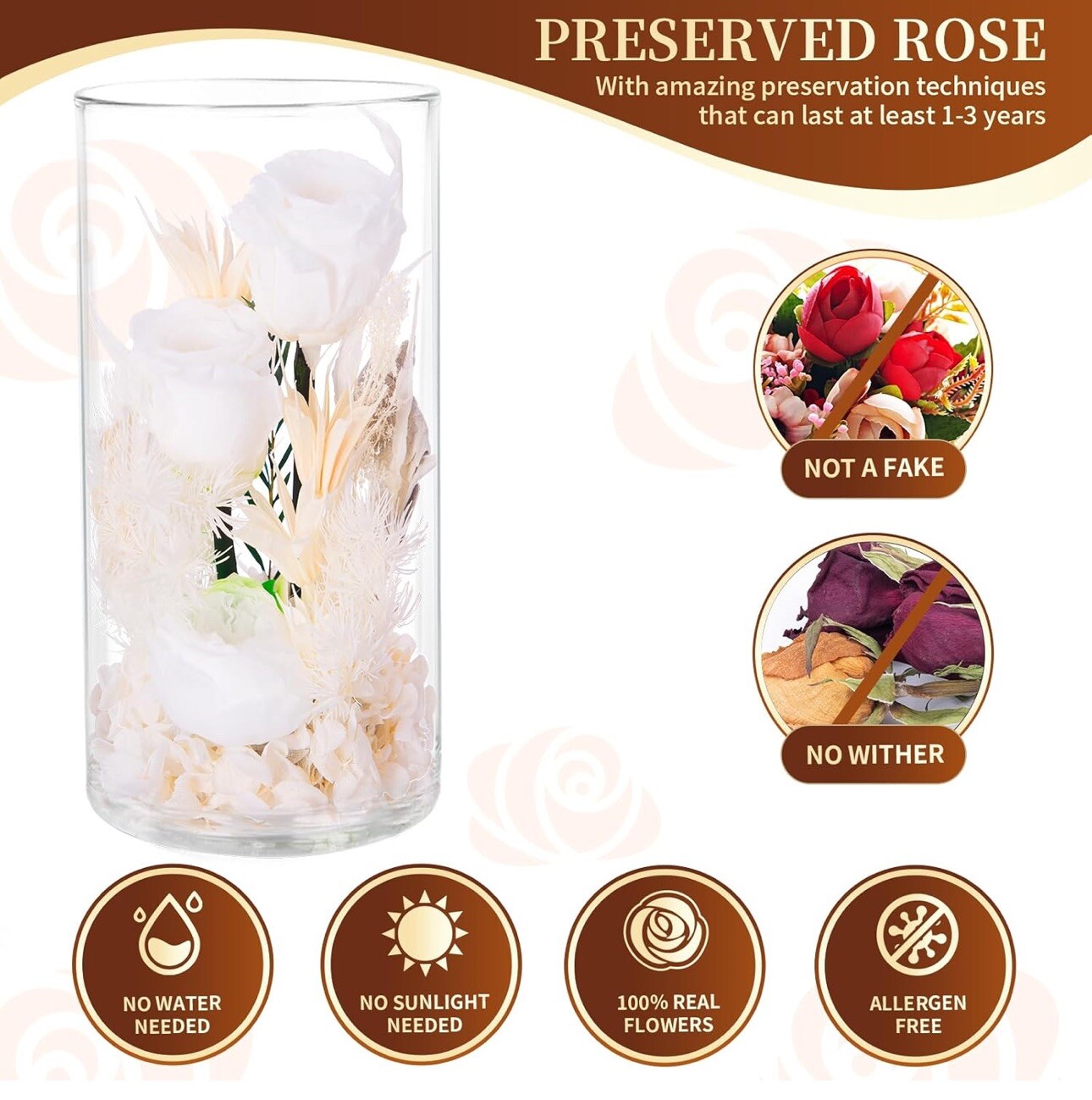 VGNQA Preserved Rose in Glass Dome White Dried Flower Arrangement Gift for Women