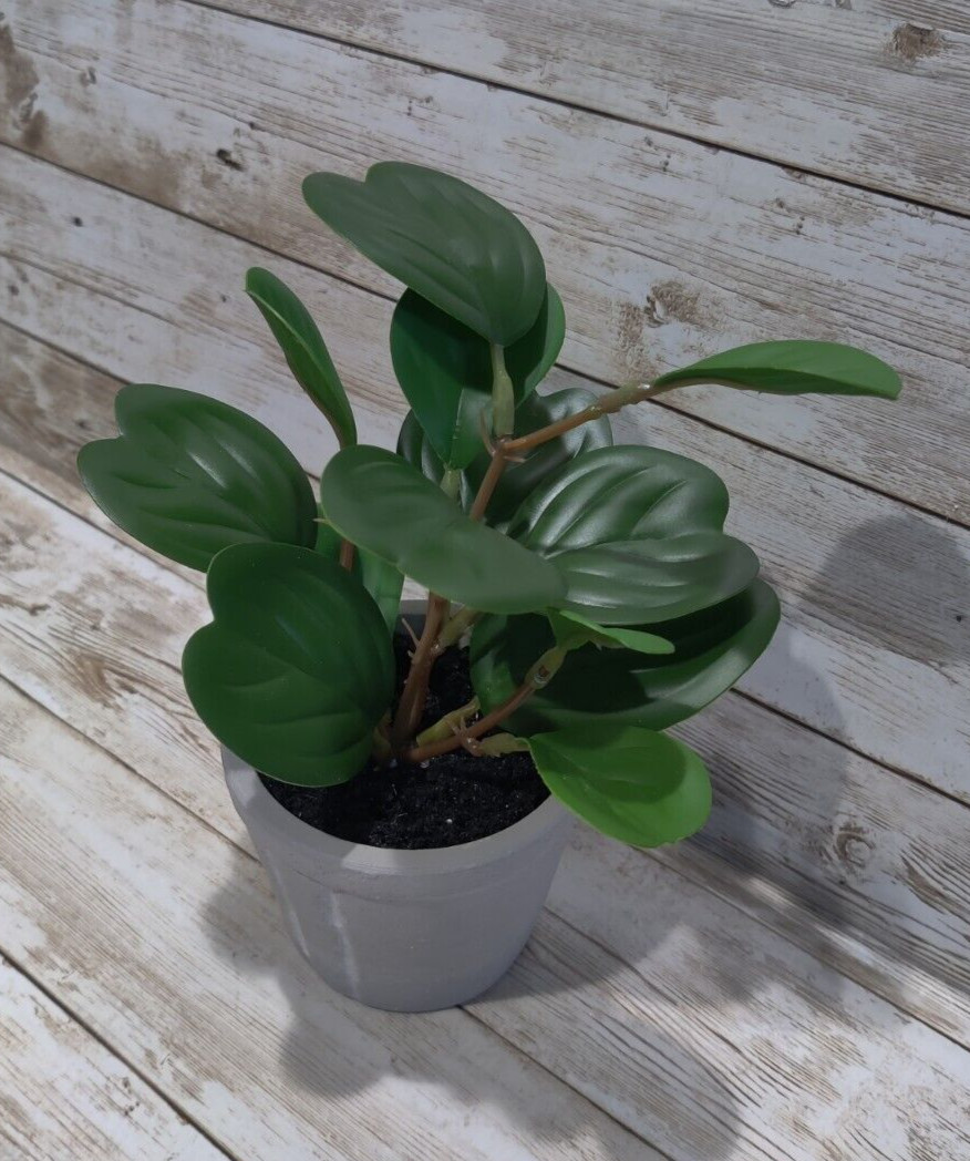 Faux Hoya Heart Potted Plant from Hearth and Hand with Magnolia *4 Pack* 7″ Mini