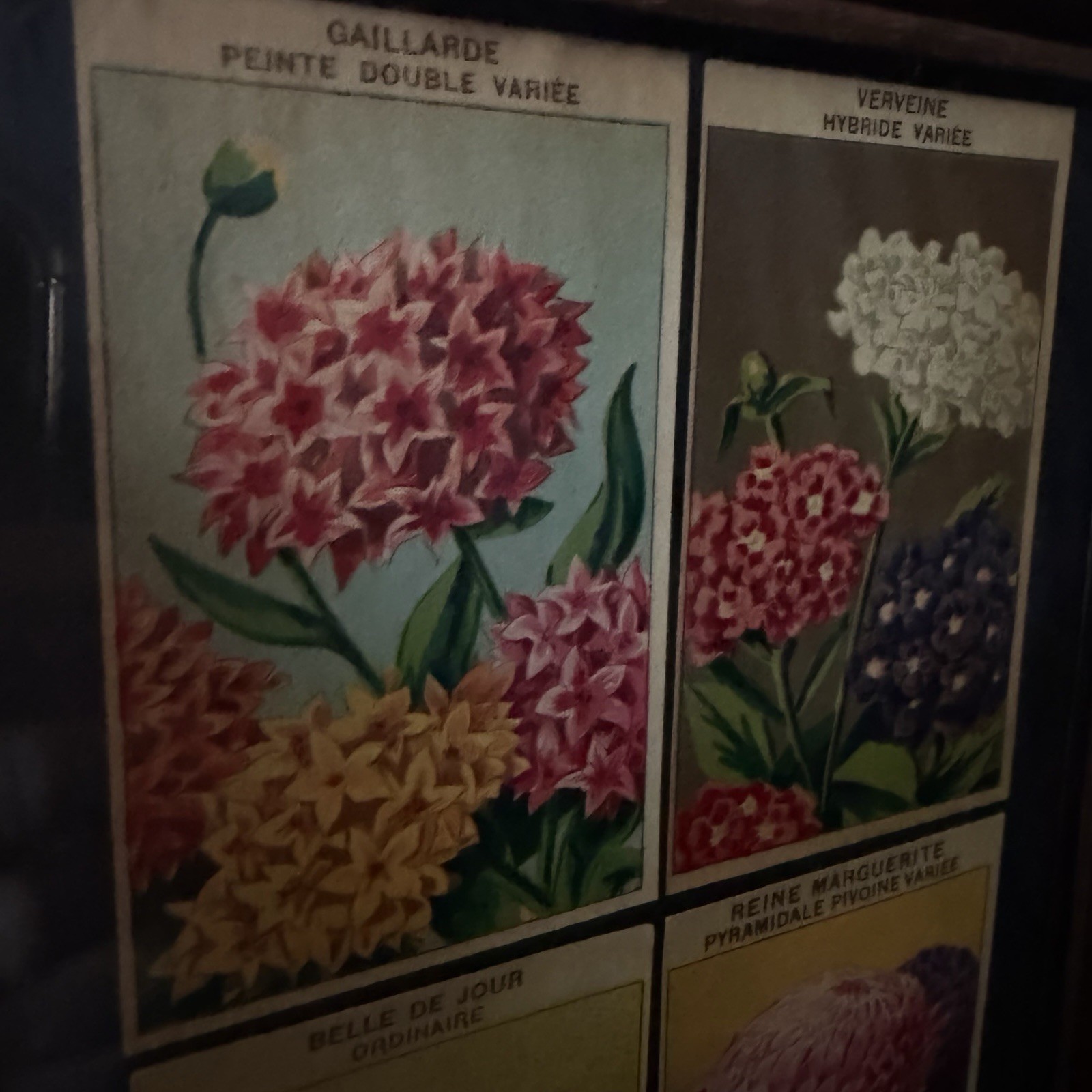 Vintage French Seed Packet Labels Framed Botanical Wall Art Wood Frame