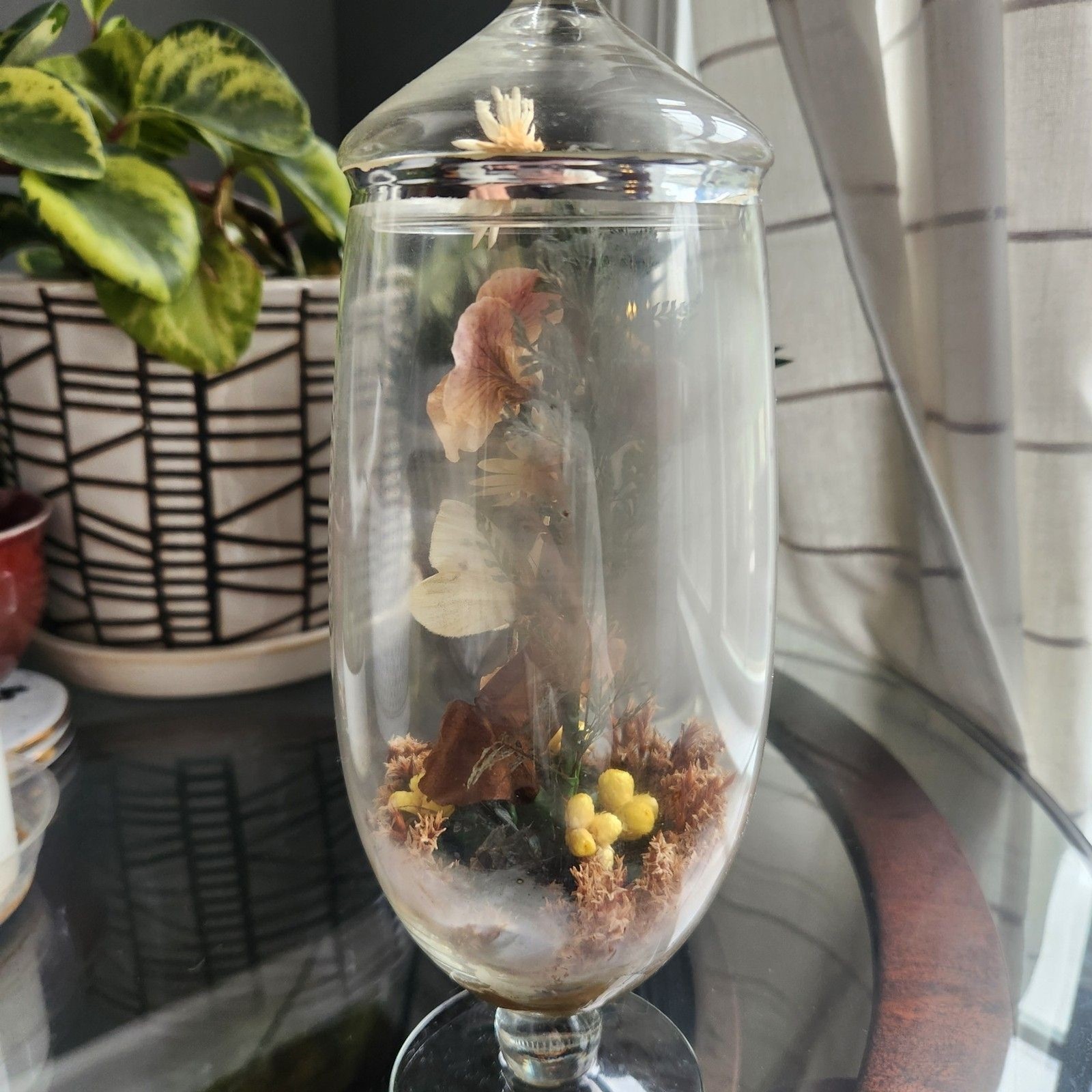 Vtg Apothecary Jar Sealed Butterfly Terrarium Floral Dried Flowers Cottagecore