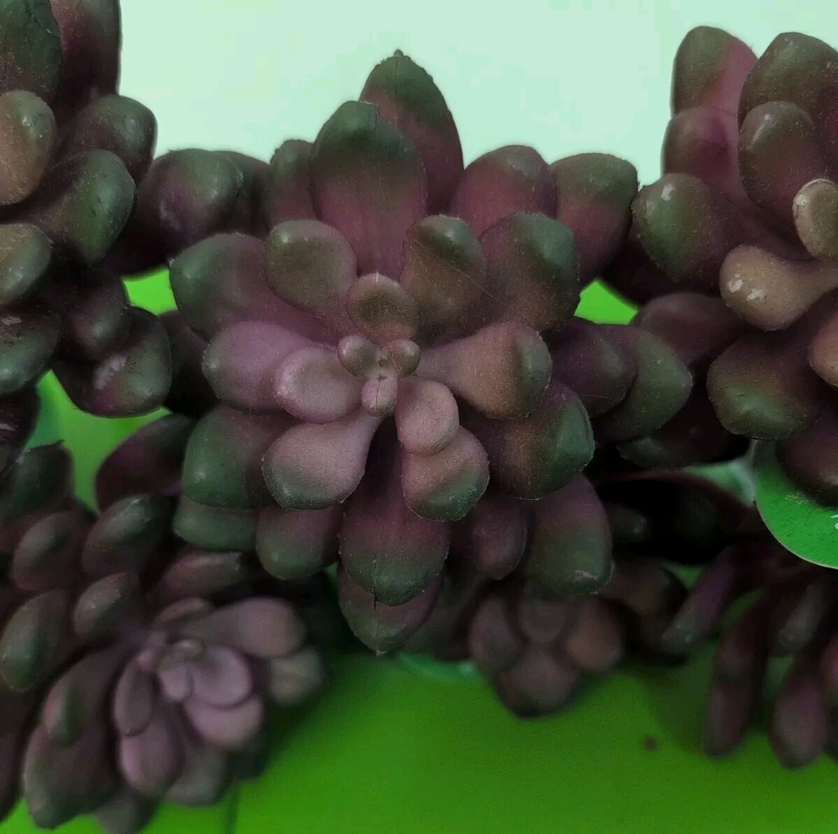 Artificial Mauve Succulents Echeveria (7) Picks Spring
