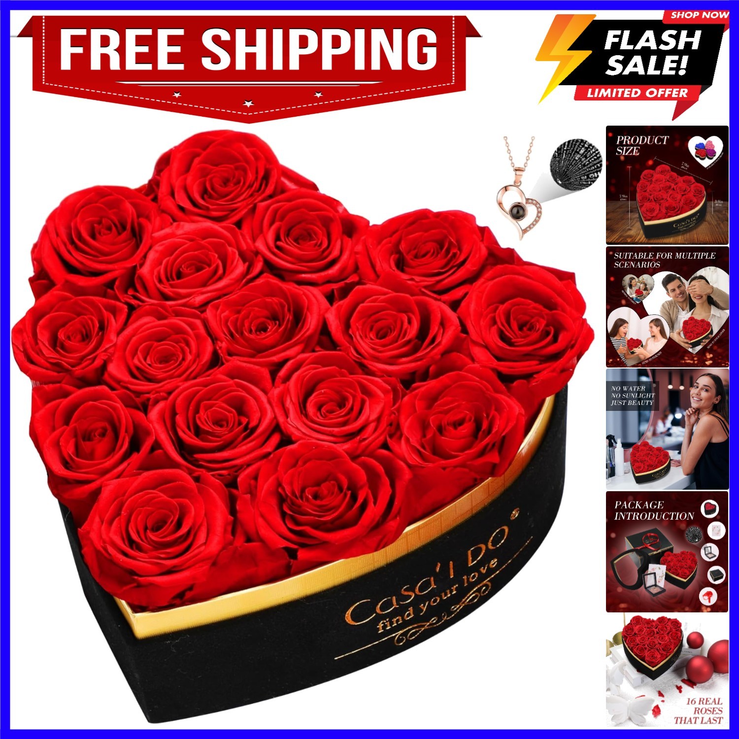 Preserved Roses Flowers for Delivery 16 Pcs, Mothers Day Rose Gifts for Her, …
