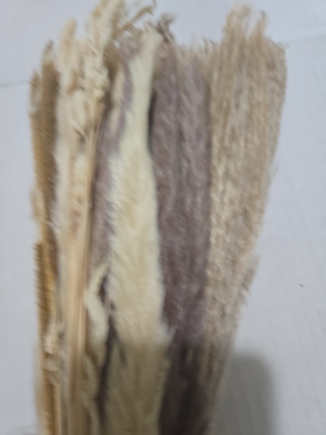 New Yatim Pampas Grass Decor Farmhouse Party Approx. 90 pcs.17in. tall