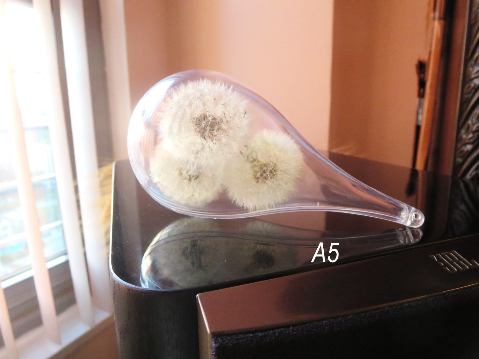 Dandelion In Glass Decoration Plant Flower Home decor Gift for her