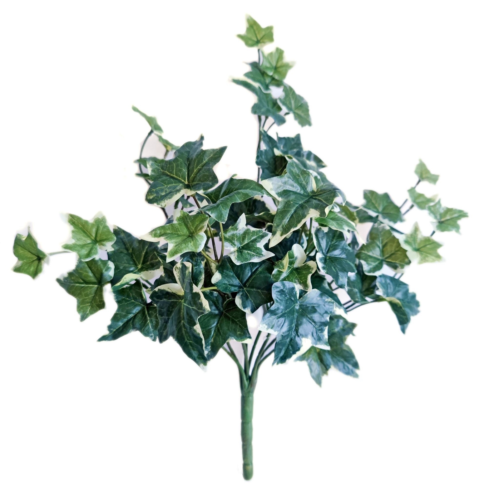VARI. Green Real Touch Sage Ivy Hanging Bush , 19″ H, with 66 Leaves, 8 Stems