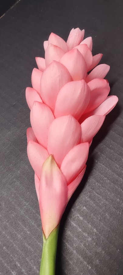 Ginger lily stem. Silk arrangements tropical Hawaiian flowers PINK