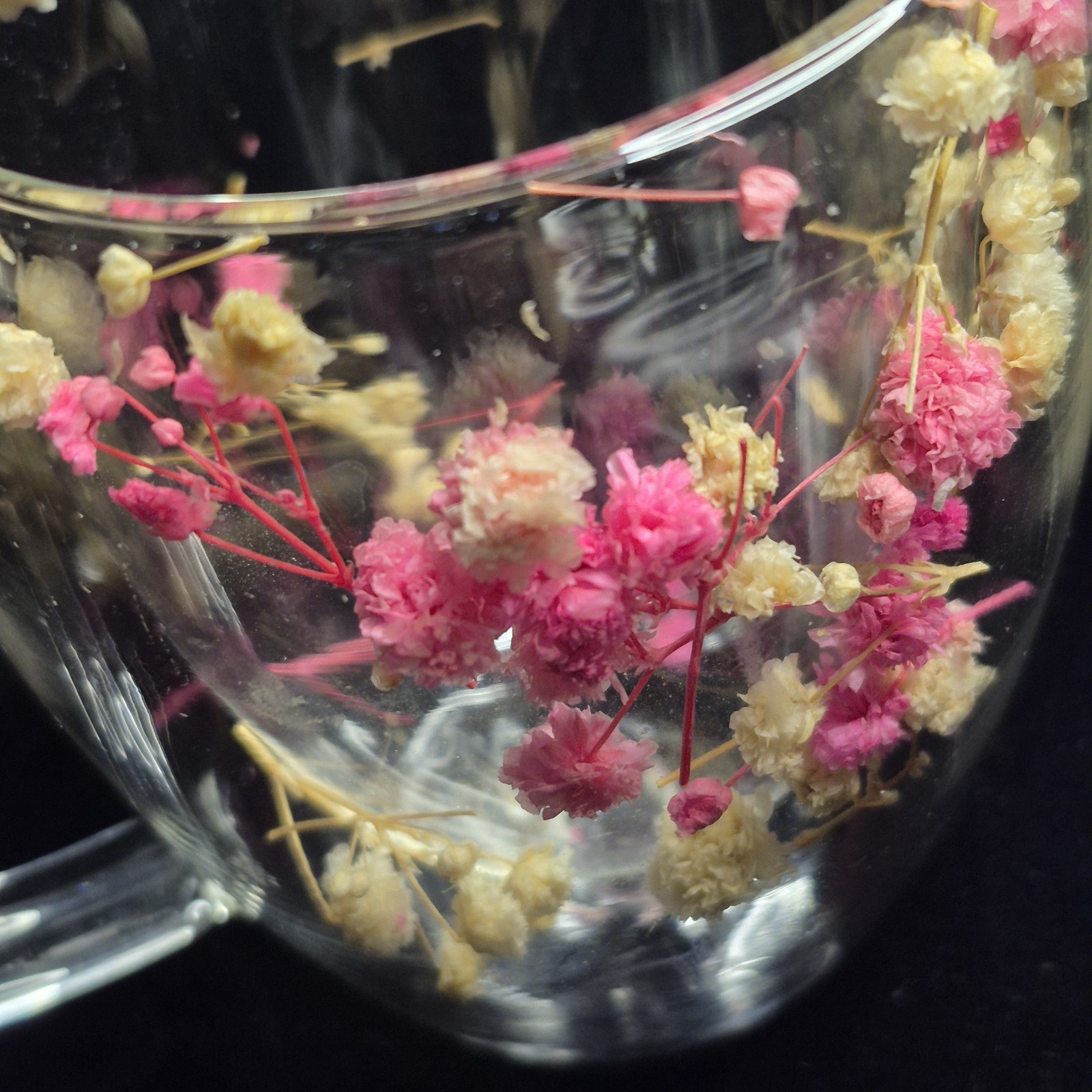 Dried Flower Glass Mug – Double Wall Clear Coffee Tea Cup – Botanical Floral