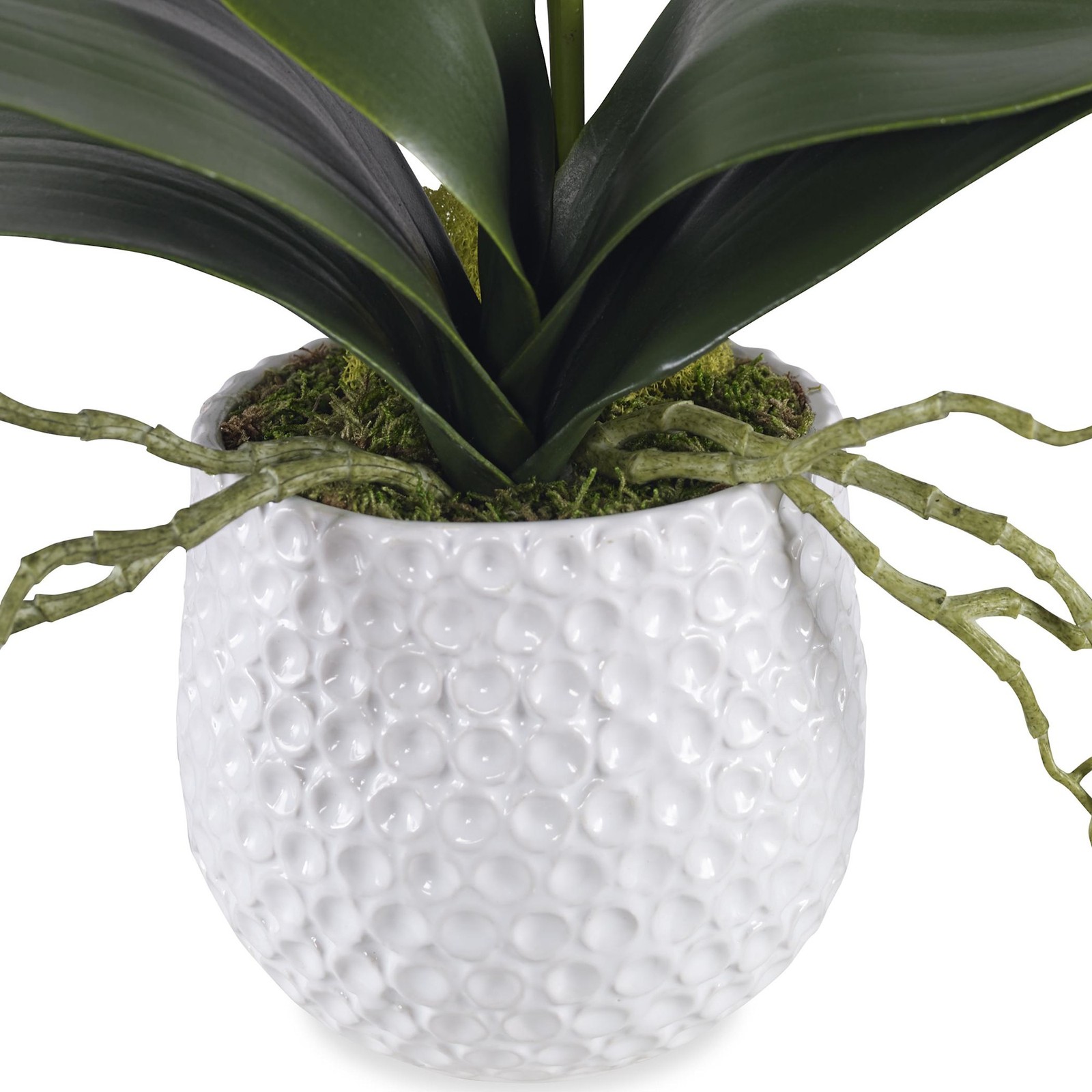Uttermost 60178 Cami Orchid 24″ Tall Ceramic Faux Flora Planter – White