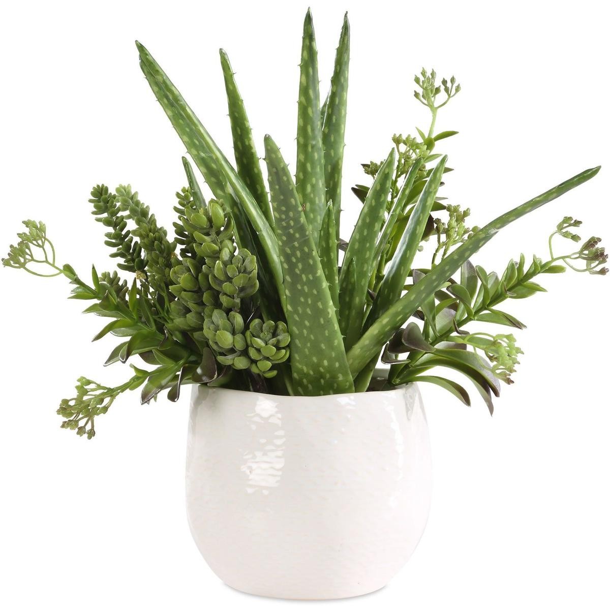 Uttermost 60244 Sundown Succulent Green and White Succulent Accent Planter
