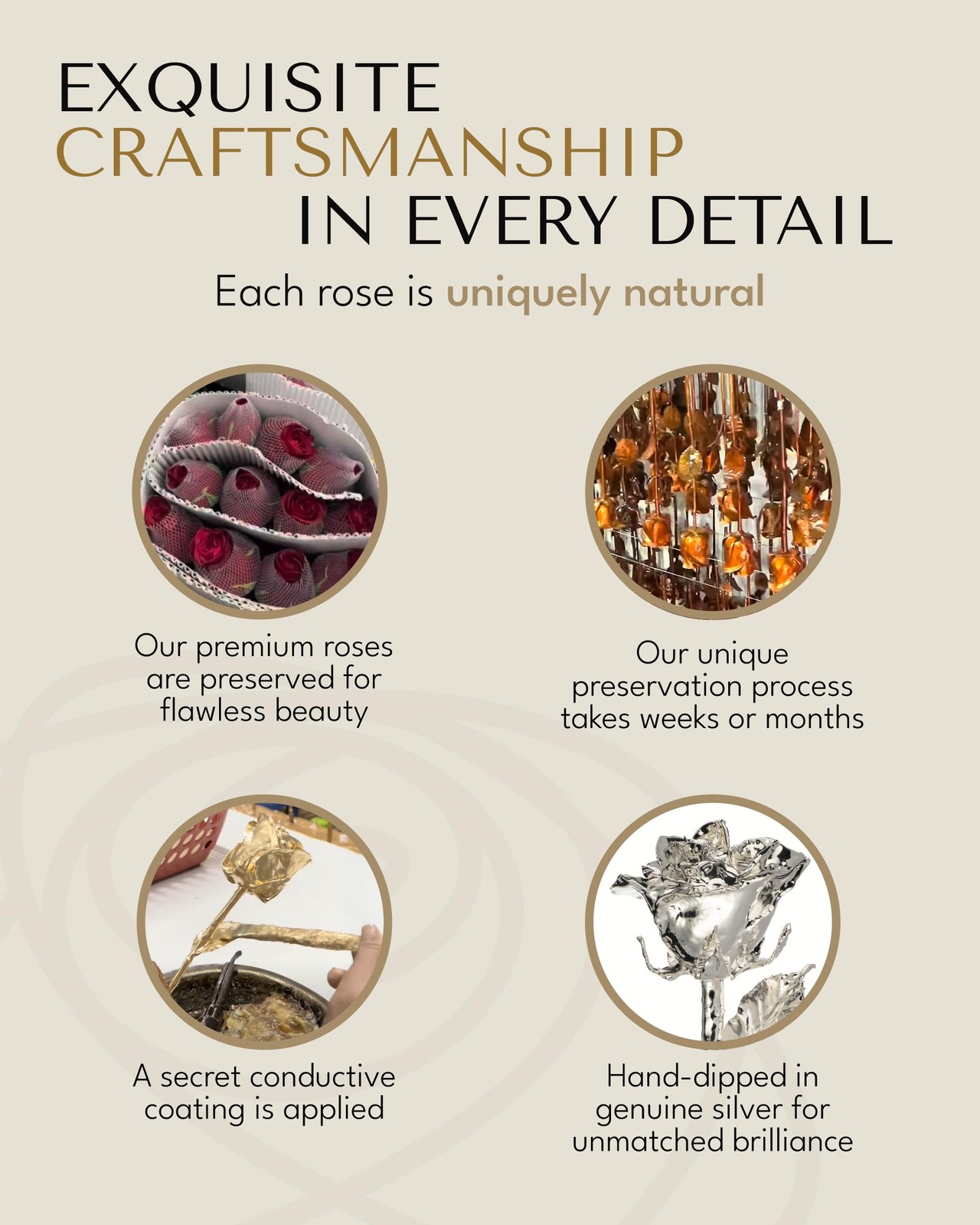 Real Rose Dipped in Silver, Handcrafted Preserved Rose in Luxury Gold Gift Bo…