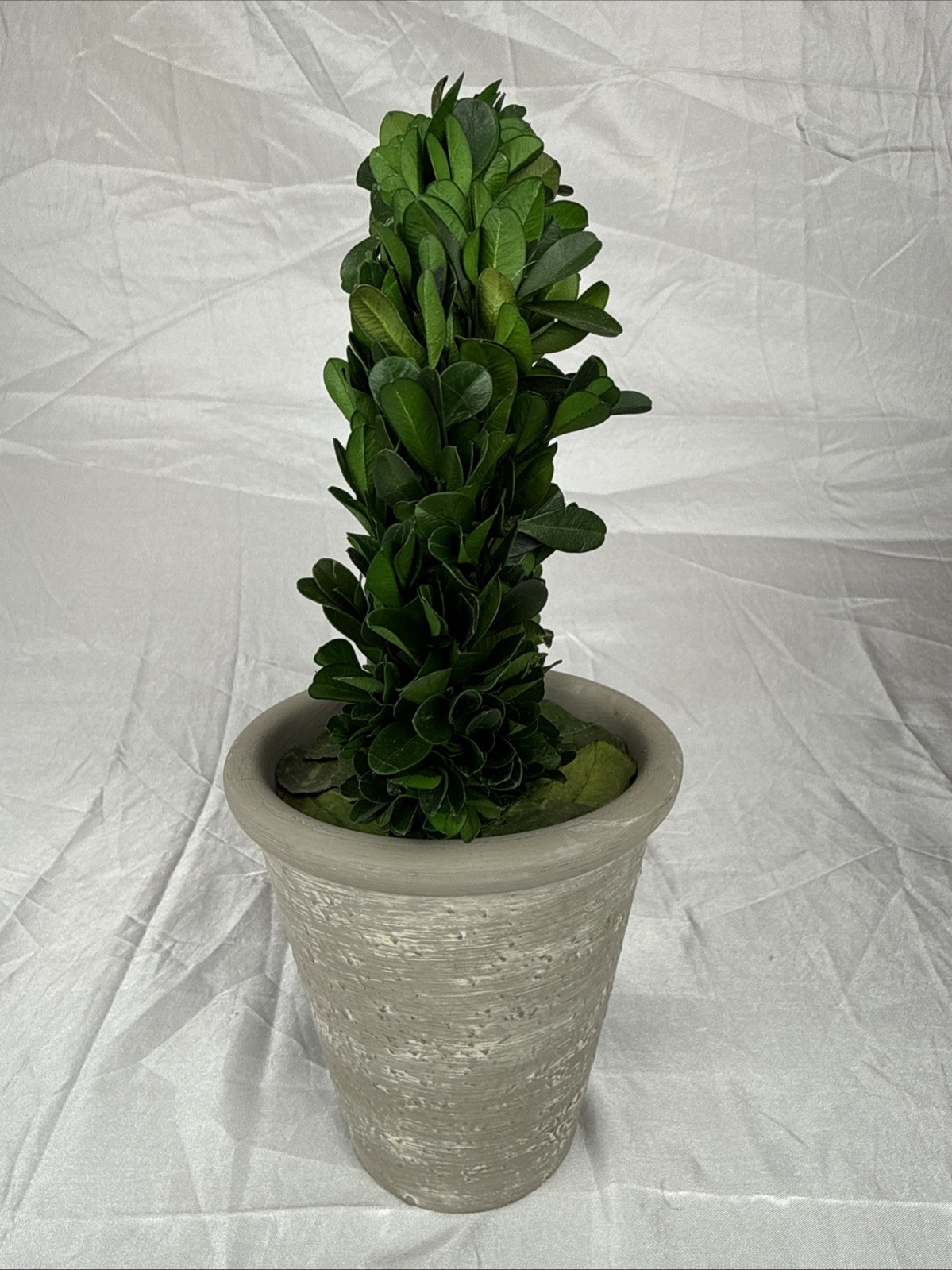 Artificial 12″ Green Boxwood Topiary Circular Wreath In Rustic Grey Ceramic Pot