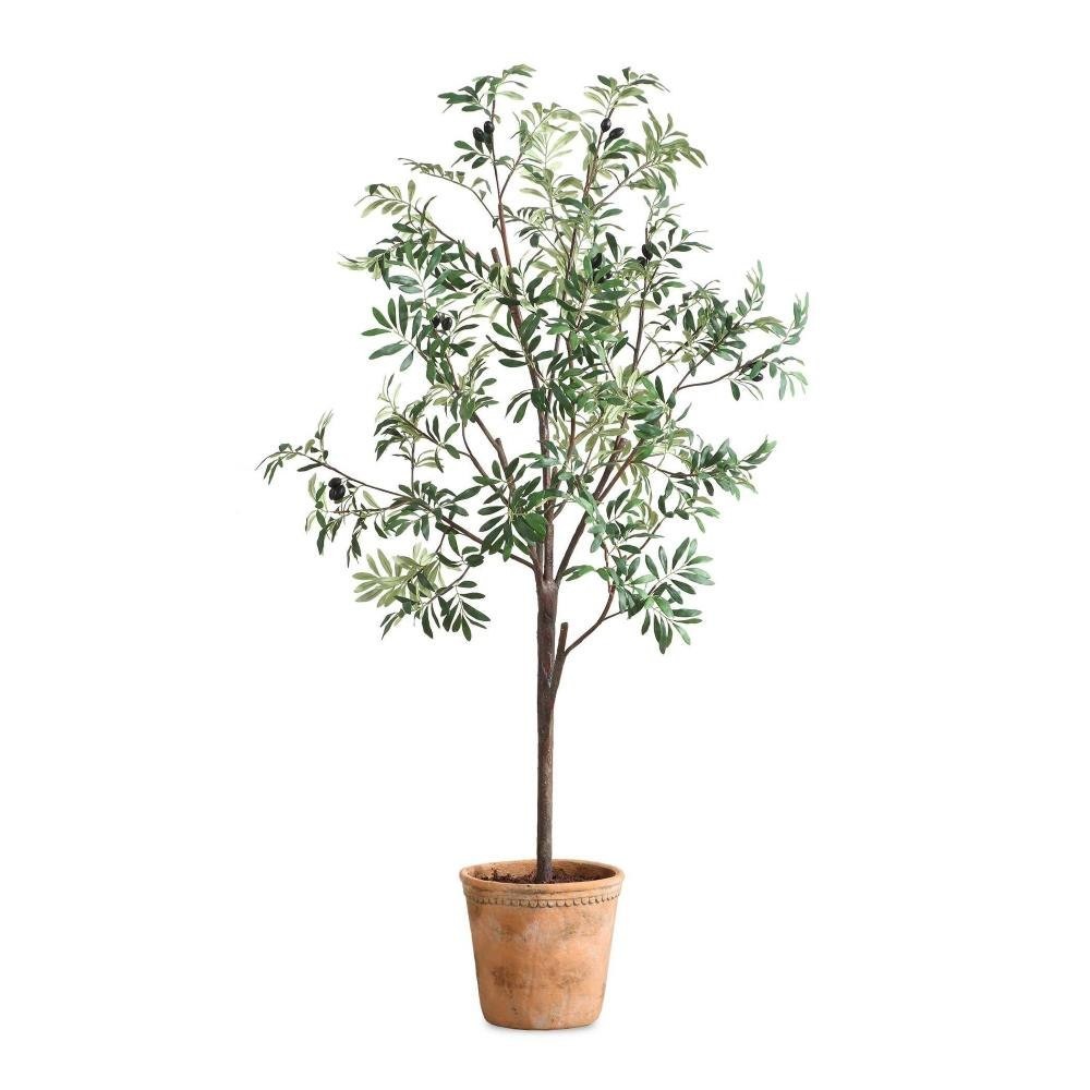 Potted Olive Tree-67 Inch Tall and 29.25 Inch Wide – 208-BEL-5325820 – Bailey