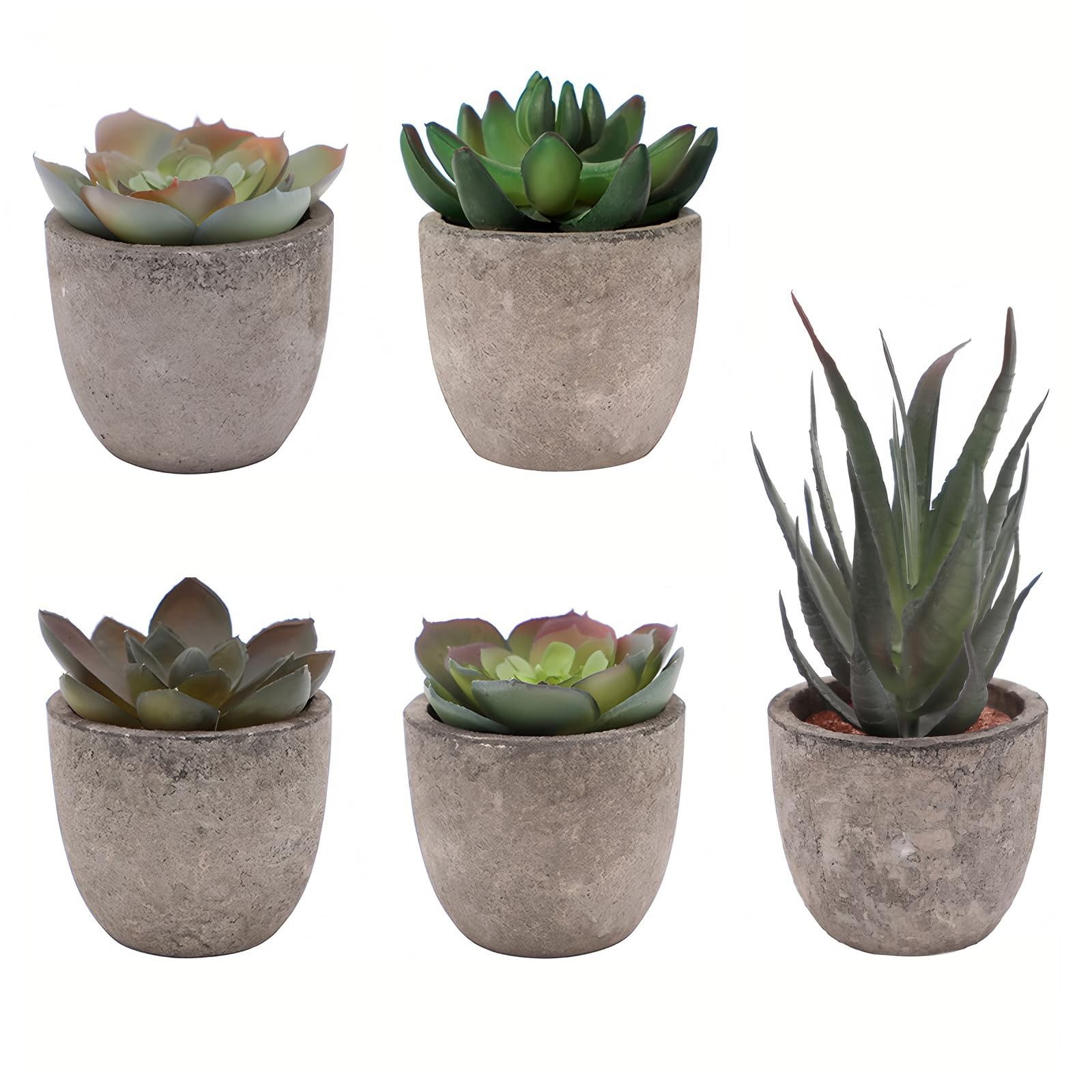 Set of 5 Artificial Succulent Plants in Pots – Lifelike Fake Succulents for D…