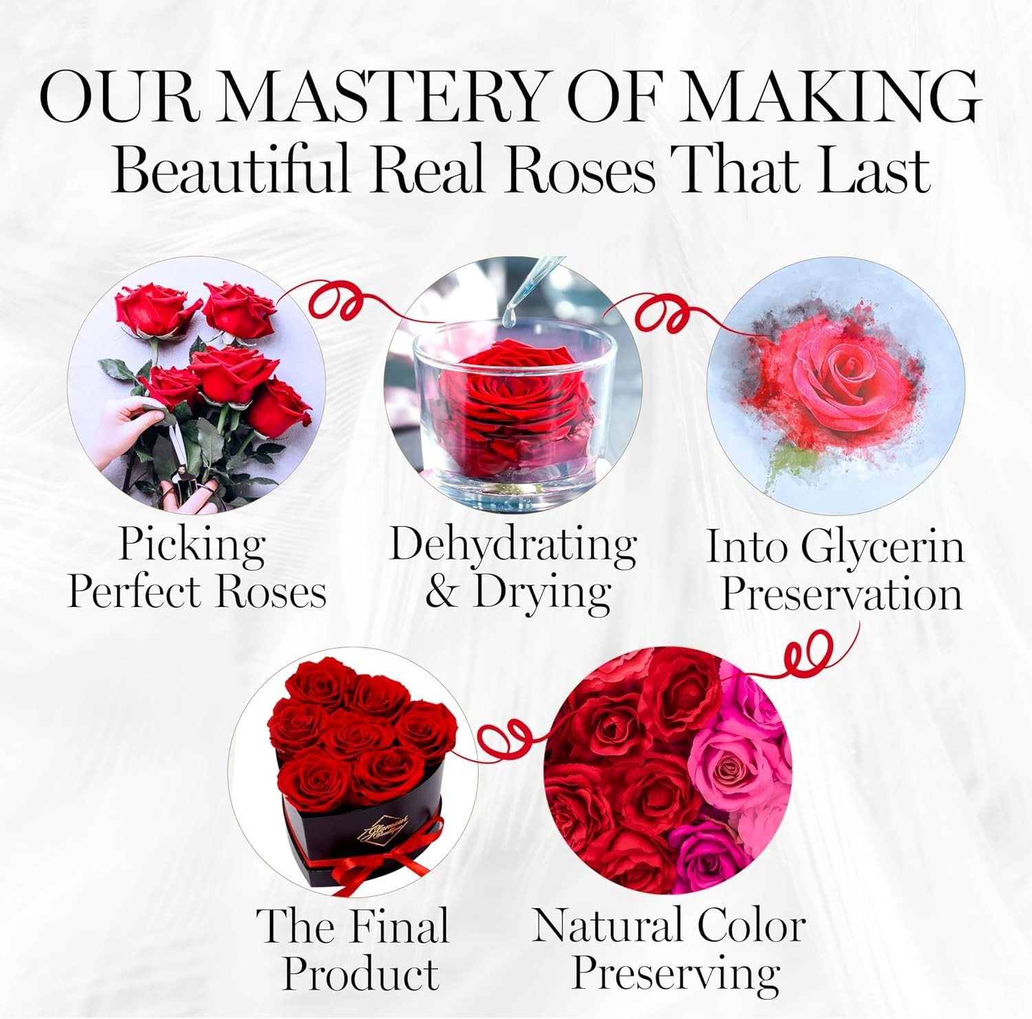 Red Heart-Shaped Box with 7 Preserved Roses – Effortless Luxury for Any Occasion