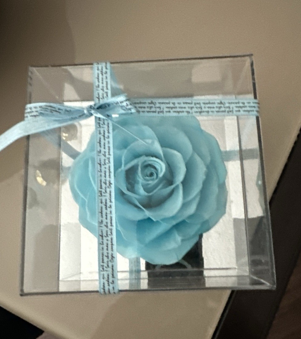 Eternal Rose Gift for Women, Preserved Real Forever Rose Flowers in Clear Case