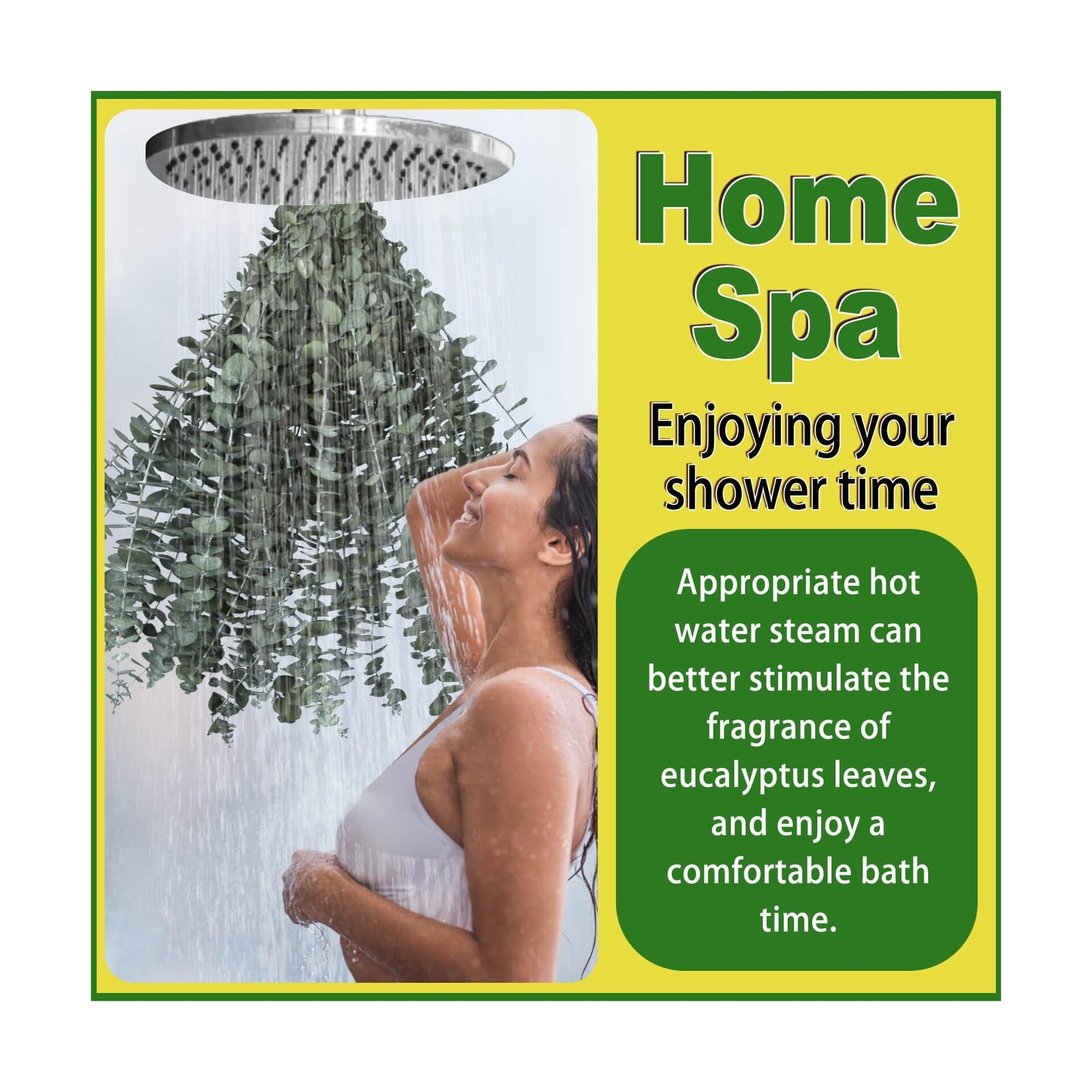11 PCS Real Dried Eucalyptus for Shower Hanging Decor- 17” Large Eucalyptus …