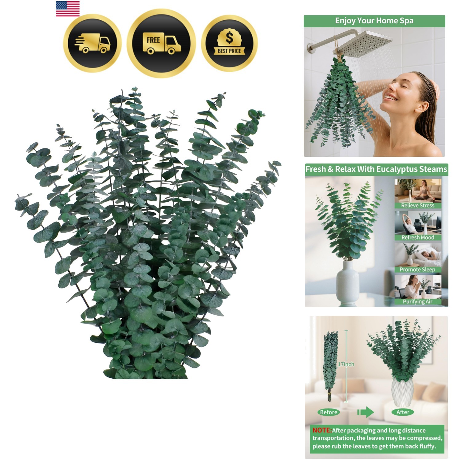 17” Real Eucalyptus Stems 100% Natural Fresh Leaves Hanging Plants Greenery …