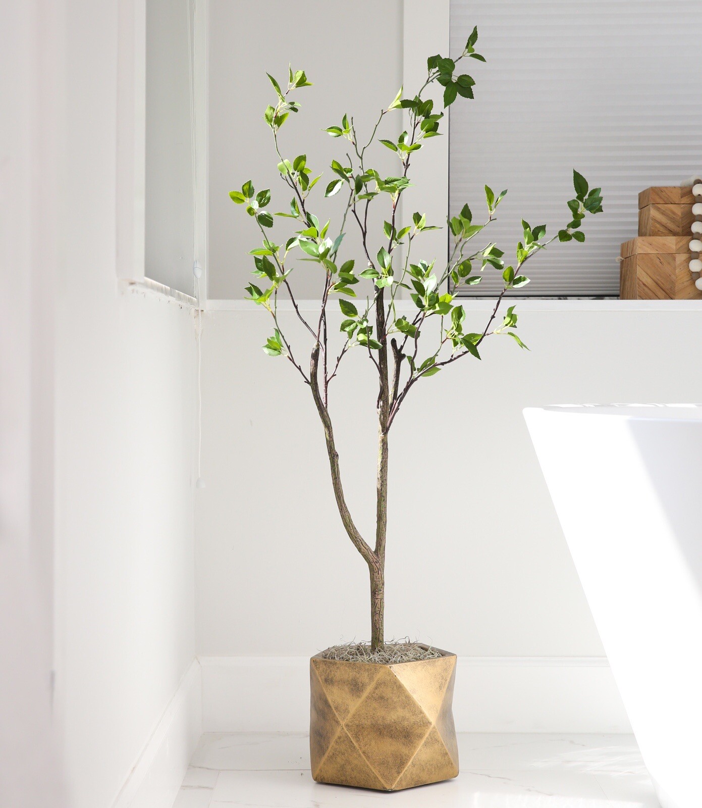 4′ Artificial Citrus Minimalist Tree Home Decor. Retail $129